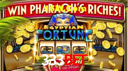 333bet - User Statistics